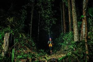 BIB: 
                            <button type="button" onclick="openModal(26207556)" class="btn btn-primary btn-sm float-right btn-popup" data-toggle="modal" data-target=".modal-high-quality">
                        <i class="fas fa-shopping-cart"></i> Add to Cart
                    </button>
                                            <button type="button" onclick="isThisMe(26207556, true)" class="btn btn-success btn-sm float-right btn-popup btn-isme hidden" data-toggle="tooltip" data-placement="bottom" title="นี่คือรูปของคุณใช่ไหม คลิกที่นี่เพื่อเอาเข้าอัลบั้ม">
                        <i class="fas fa-plus"></i> Add to album
                    </button>
                    <button type="button" onclick="isThisMe(26207556, false)" class="btn btn-warning btn-sm float-right btn-popup btn-isnotme hidden">
                        <i class="fas fa-ban"></i> Remove from album
                    </button>